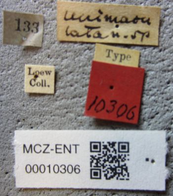 Media type: image;   Entomology 10306 Aspect: labels